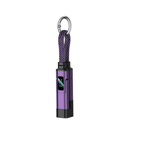 4-in-1 Smart Display Keychain Cable