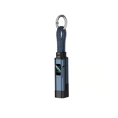 4-in-1 Smart Display Keychain Cable