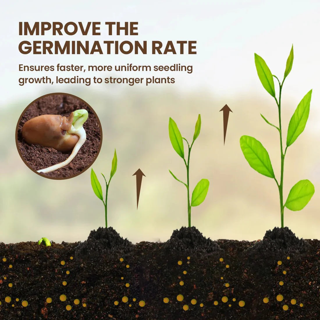 🔥Seasonal Promotion🌱Soil Pro Activator