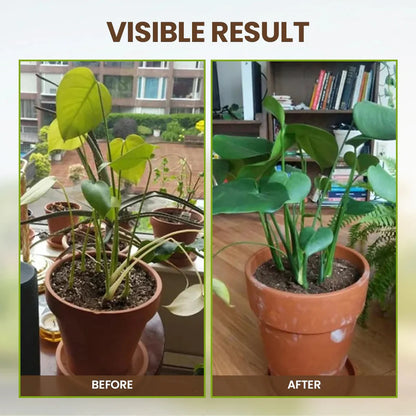 🔥Seasonal Promotion🌱Soil Pro Activator