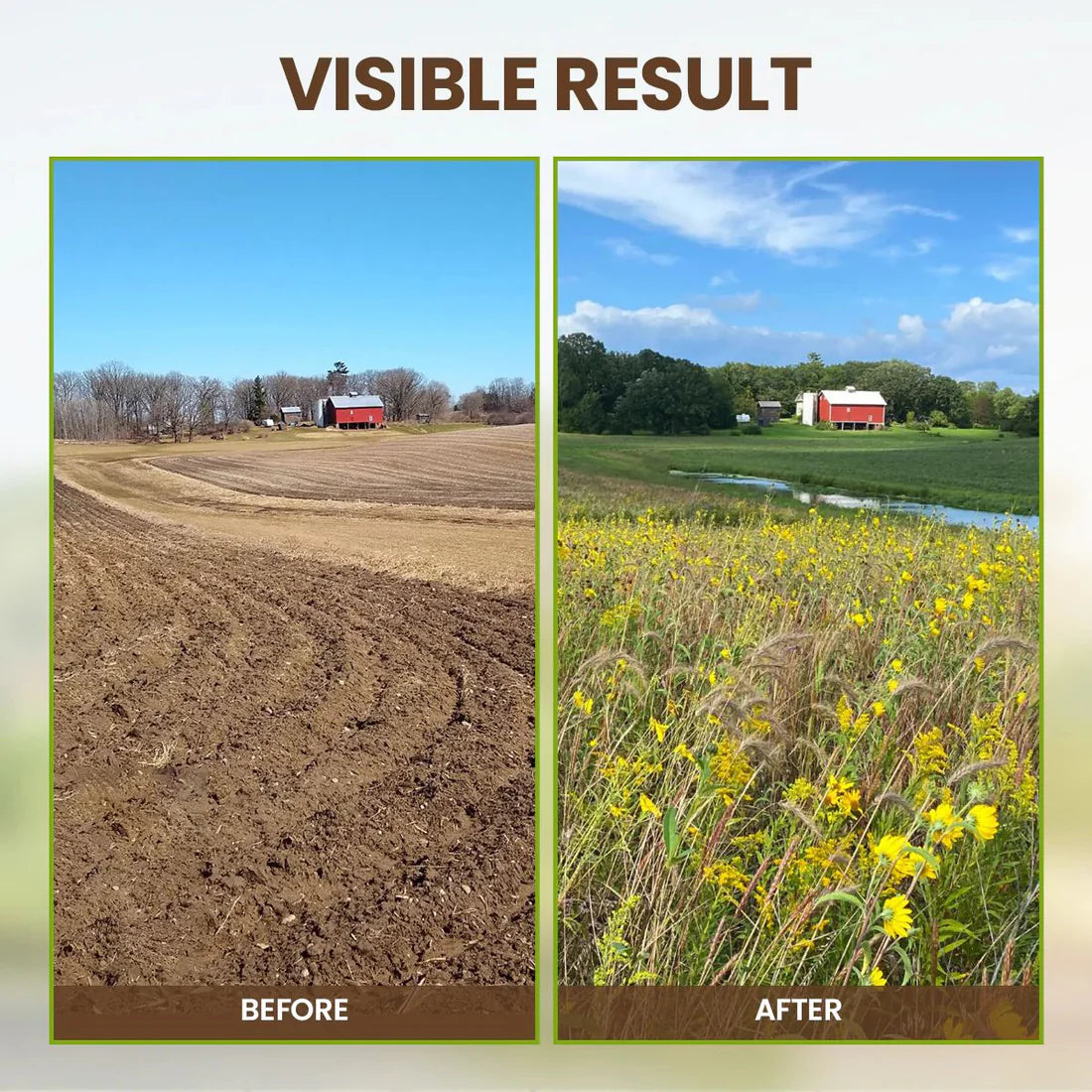 🔥Seasonal Promotion🌱Soil Pro Activator