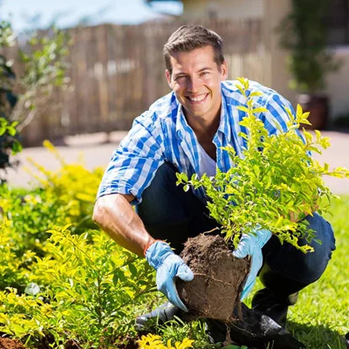 🔥Seasonal Promotion🌱Soil Pro Activator