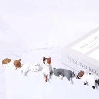 🐱Cat B (5 pcs)